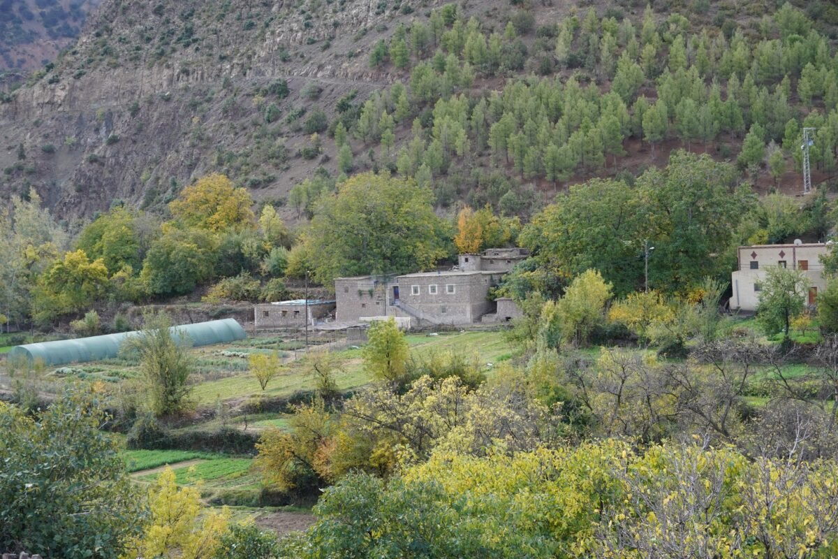 619338172_1411399937096333_4512734339514437436_n