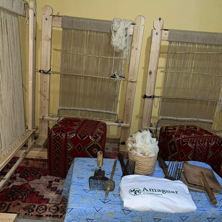 635182875_1428826388687021_2610177375331978884_n