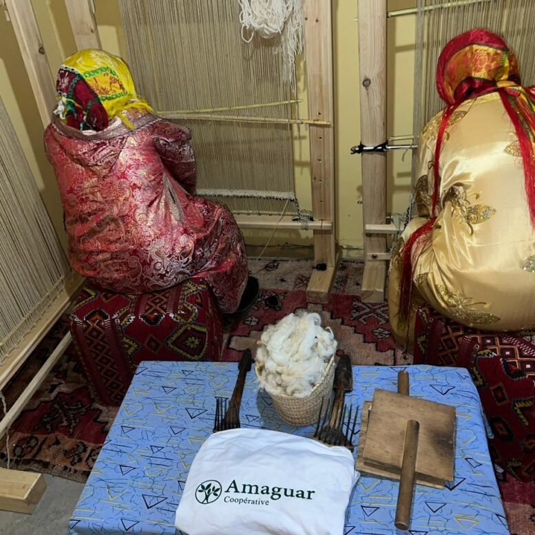 636978156_1428826442020349_2393947557539008001_n